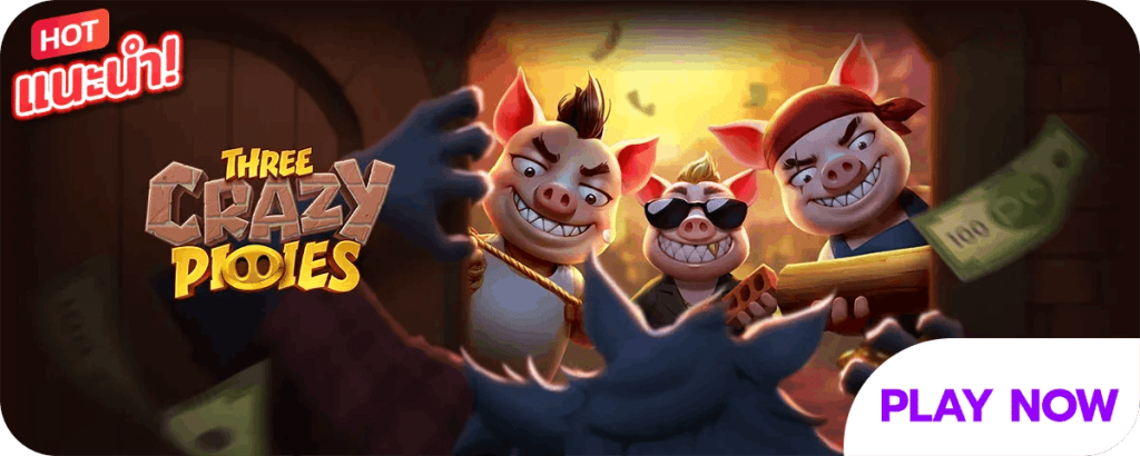 THREE CRAZY PIOIES